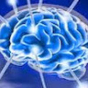 Meet your Posher, Steve